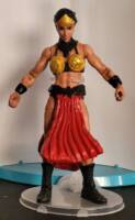 Golden Age Hippolyta (WWE) Custom Action Figure