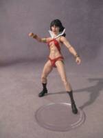 Vampirella (Vampirella) Custom Action Figure