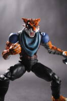 Tmnt Tiger Claw idw style (Marvel Legends) Custom Action Figure