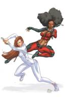 Colleen Wing (Daughter's of the Dragon) (Marvel Universe) Custom Action Figure