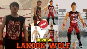 Mattel WWE Landon Wolf independent wrestling figure (WWE) Custom Action Figure