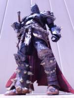 Medieval spawn (Spawn) Custom Action Figure