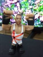 Rvd (WWE) Custom Miniature / Figurine