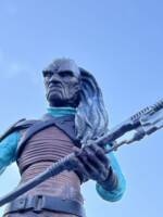 Weequay (Star Wars) Custom Action Figure
