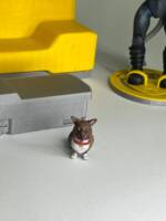 Biker Bebop (Biker Mice from Mars) Custom Action Figure