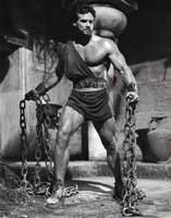 Steve Reeves Hercules (Hercules) Custom Action Figure
