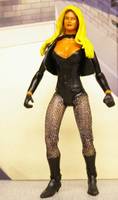 Black Canary (DC Universe) Custom Action Figure