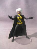 Storm (Marvel Universe) Custom Action Figure