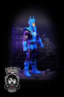 Doctor Polaris (Classic) (DC Universe) Custom Action Figure
