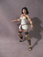 Young Justice Troia (DC Multiverse) Custom Action Figure