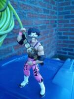 Hercule The Hitman Hart (Amalgam) Custom Action Figure