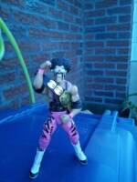 Hercule The Hitman Hart (Amalgam) Custom Action Figure