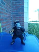Anthros:Tomas Son Claire cat burglar specialty stealth (animal type Pygmy Hippo) (Anthros) Custom Action Figure