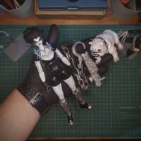 Lobo Lady - DC (Marvel Legends Custom) (Marvel Legends) Custom Action Figure [This one, for sale]
