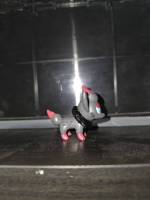 Zoroa (Pokemon) Custom Miniature / Figurine