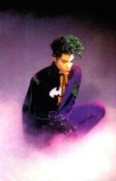 Prince as "Gemini" (Batman) Custom Action Figure