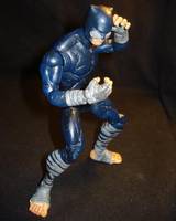 Wildcat (DC Universe) Custom Action Figure