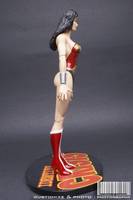 Wonder Woman (Michael Turner Version) (DC Direct) Custom Action Figure