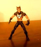 Leigion Of  SuperHeros (DC Superheroes) Custom Action Figure