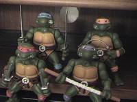 Teenage Mutant Ninja Turtles (Teenage Mutant Ninja Turtles) Custom Action Figure