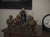 Teenage Mutant Ninja Turtles (Teenage Mutant Ninja Turtles) Custom Action Figure