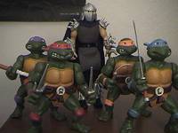 Teenage Mutant Ninja Turtles (Teenage Mutant Ninja Turtles) Custom Action Figure