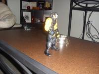 Bane (Batman) Custom Action Figure