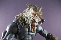 Werewolf (DC Direct) Custom Action Figure