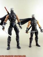 ninja gaiden neca