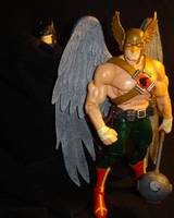 Hawkman: DCUC (DC Universe) Custom Action Figure