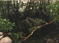Arwen & RingWraith Lord of the Rings Chase Diorama (Lord of the Rings) Custom Diorama / Playset