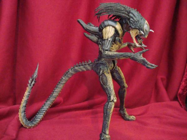 download predalien figure neca download predalien figure neca
