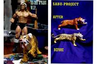 Ka-zar & Sabu (Marvel) Custom Action Figure