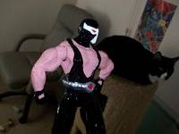 Bane (Batman) Custom Action Figure