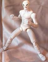 12 (Street Fighter) Custom Action Figure