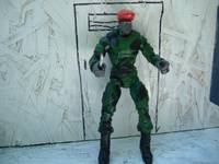Panser (Warriors) Custom Action Figure