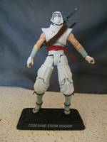 Resolute Storm Shadow (G.I. Joe Resolute ) Custom Action Figure