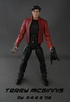 AREZ' Terry Mcginnis (DC Universe) Custom Action Figure