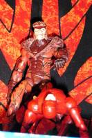 Sabertooth (X-Men) Custom Action Figure