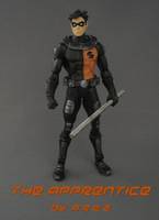 Robin "The Apprentice" (DC Superheroes) Custom Action Figure