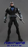 Dcuc Teen Titans Nightwing (Teen Titans) Custom Action Figure