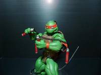 Michelangelo Final (Teenage Mutant Ninja Turtles) Custom Action Figure