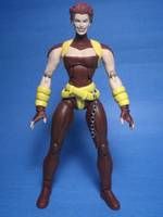 Amazon (Marvel Legends) Custom Action Figure