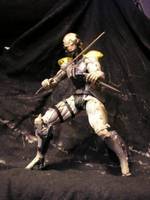 Metal Gear Solid 4 Raiden (Metal Gear Solid) Custom Action Figure