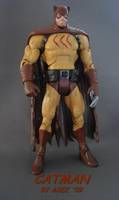 Catman (DC Universe) Custom Action Figure