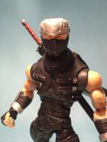 Ryu Hayabusa (Dead or Alive) Custom Action Figure