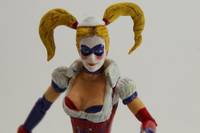 Arkham Asylum Harley Quinn (DC Direct) Custom Action Figure