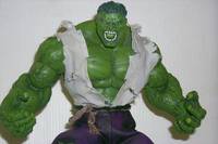 The Hulk (Incredible Hulk) Custom Action Figure