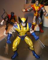 Wolverine (Marvel Legends) Custom Action Figure