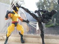 Black Panther (Marvel Legends) Custom Action Figure